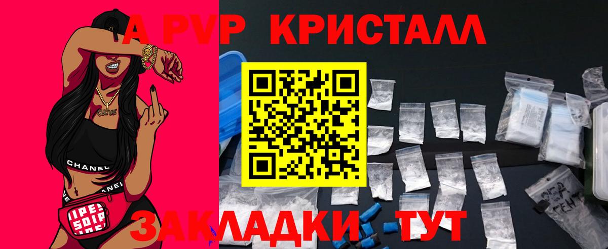A PVP СК КРИС Тверь