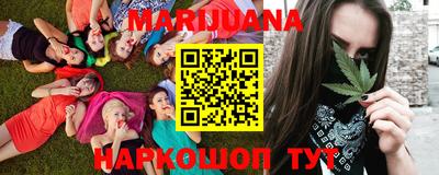 прущие грибы Моздок