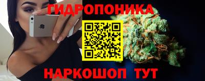 соль ск Можга