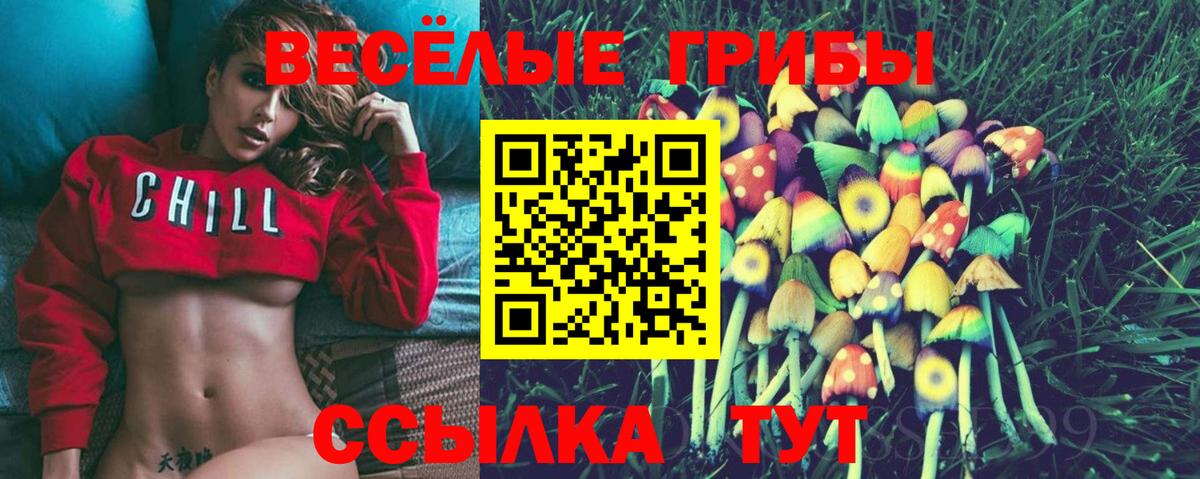 Галлюциногенные грибы MAGIC MUSHROOMS  Вход с VPN  Тверь 